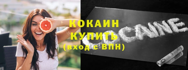 молекула духа Новодвинск