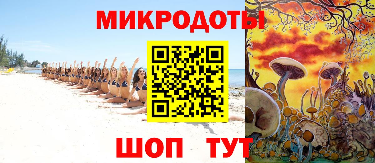 Псилоцибиновые грибы прущие грибы  Кубинка  Псилоцибиновые грибы GOLDEN TEACHER 