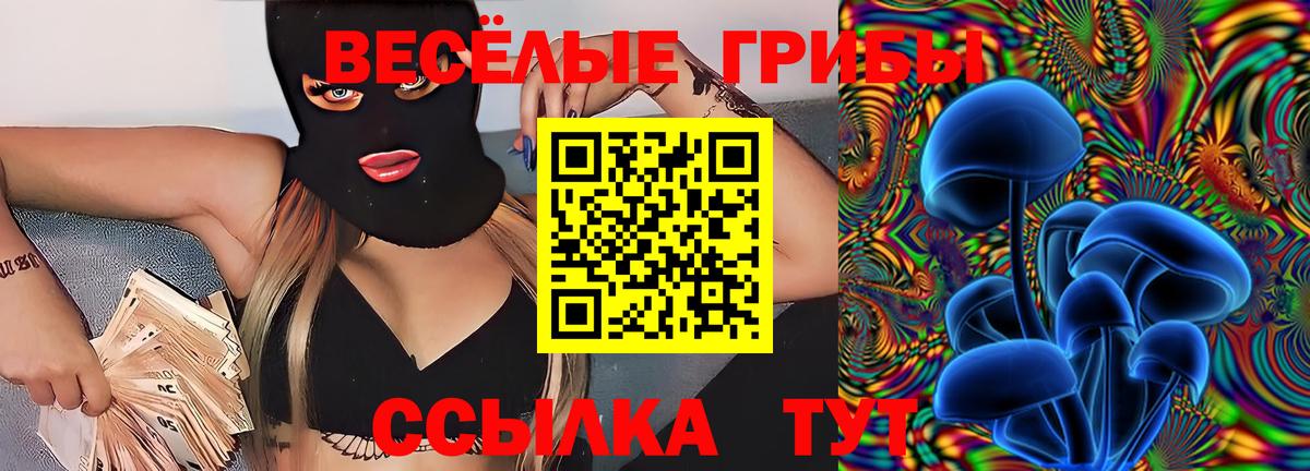 Псилоцибиновые грибы мицелий Кубинка